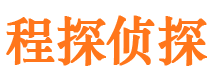 龙城市调查公司